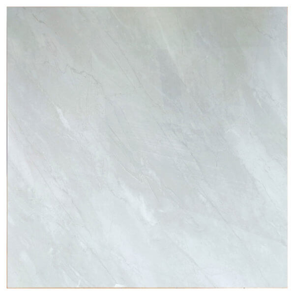 [Tile]J&L-BPCK6011-24*24-P